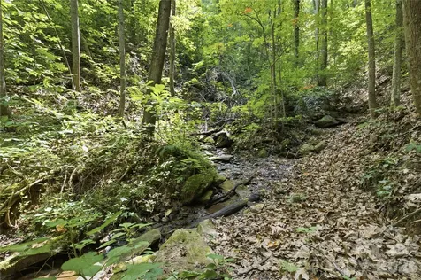 316-318 Cane Creek Mountain Road Union Mills NC 28167