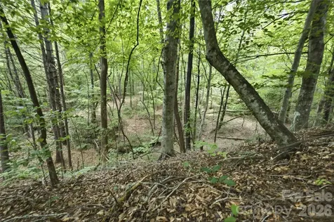 316-318 Cane Creek Mountain Road Union Mills NC 28167