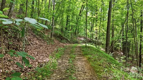 316-318 Cane Creek Mountain Road Union Mills NC 28167