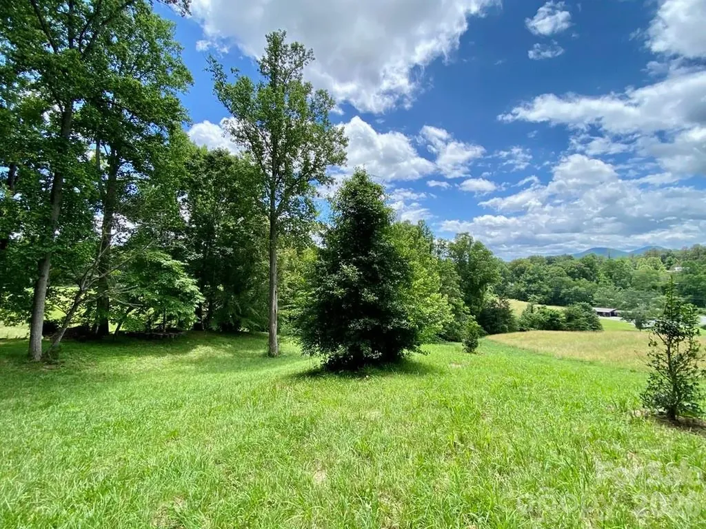 48 Sweet Fern Parkway Asheville NC 28804