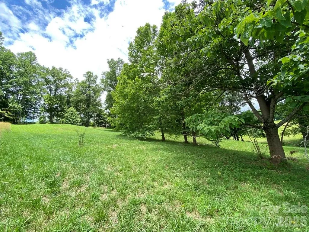 48 Sweet Fern Parkway Asheville NC 28804
