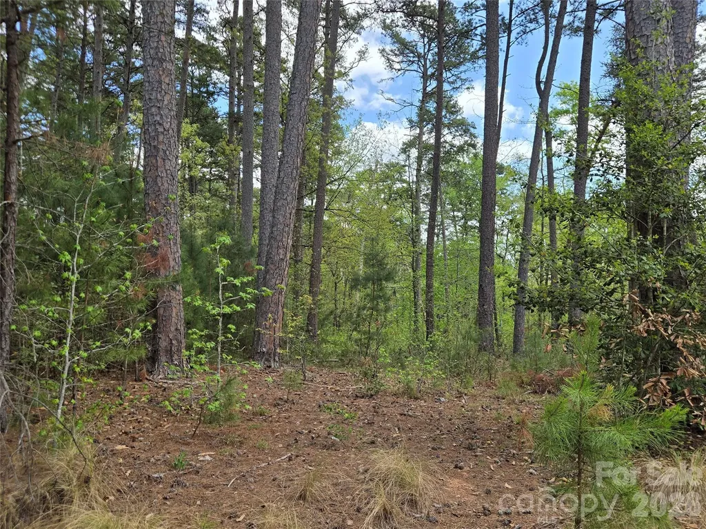 147 & 137 Heron Bay Drive Badin Lake NC 28127