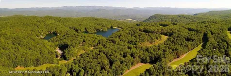 TBD Ugugu Drive Brevard NC 28712