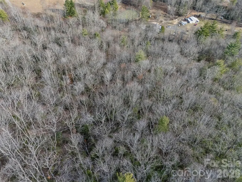 0 Murphy Branch Road Burnsville NC 28714