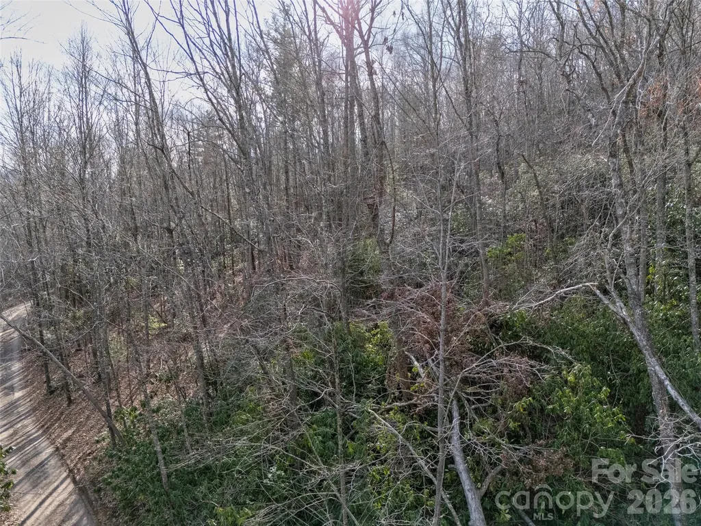 0 Murphy Branch Road Burnsville NC 28714