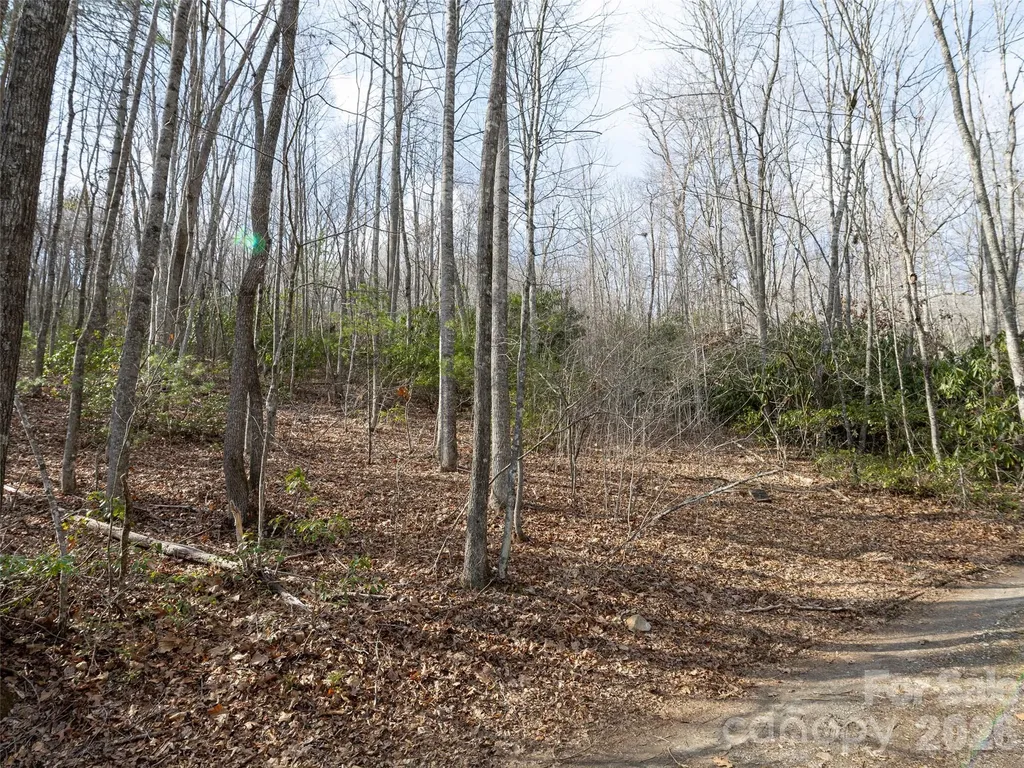 0 Murphy Branch Road Burnsville NC 28714