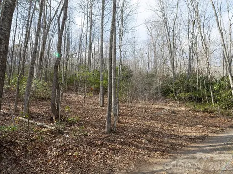 0 Murphy Branch Road Burnsville NC 28714