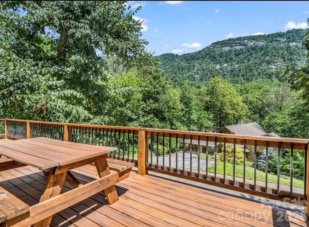168 Fall Creek Drive Chimney Rock NC 28720