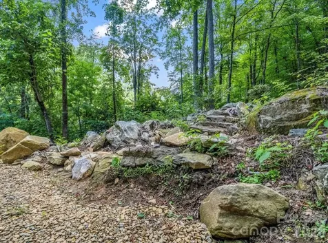 168 Fall Creek Drive Chimney Rock NC 28720