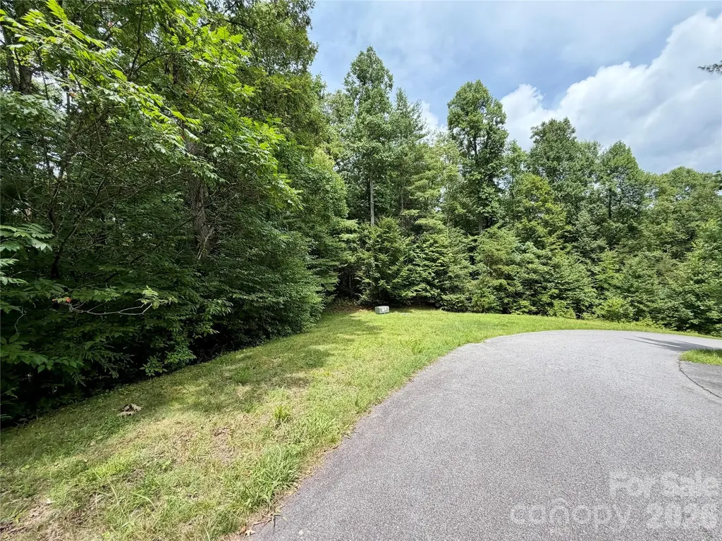 1156 Bear River Lodge Trail Marshall NC 28753
