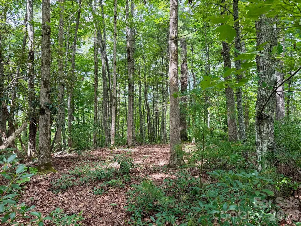 1156 Bear River Lodge Trail Marshall NC 28753