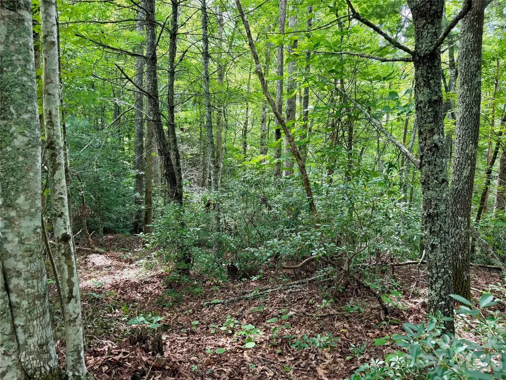1156 Bear River Lodge Trail Marshall NC 28753
