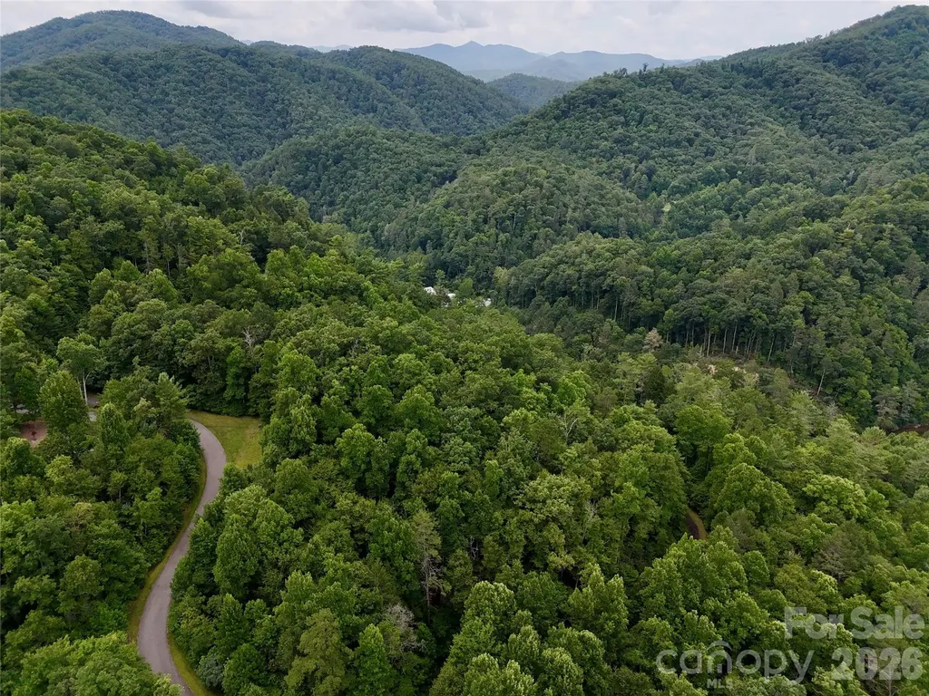 1156 Bear River Lodge Trail Marshall NC 28753