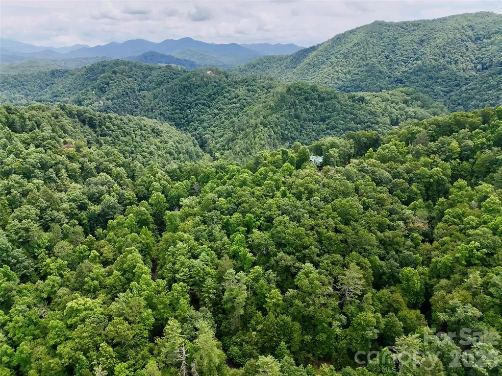 1156 Bear River Lodge Trail Marshall NC 28753