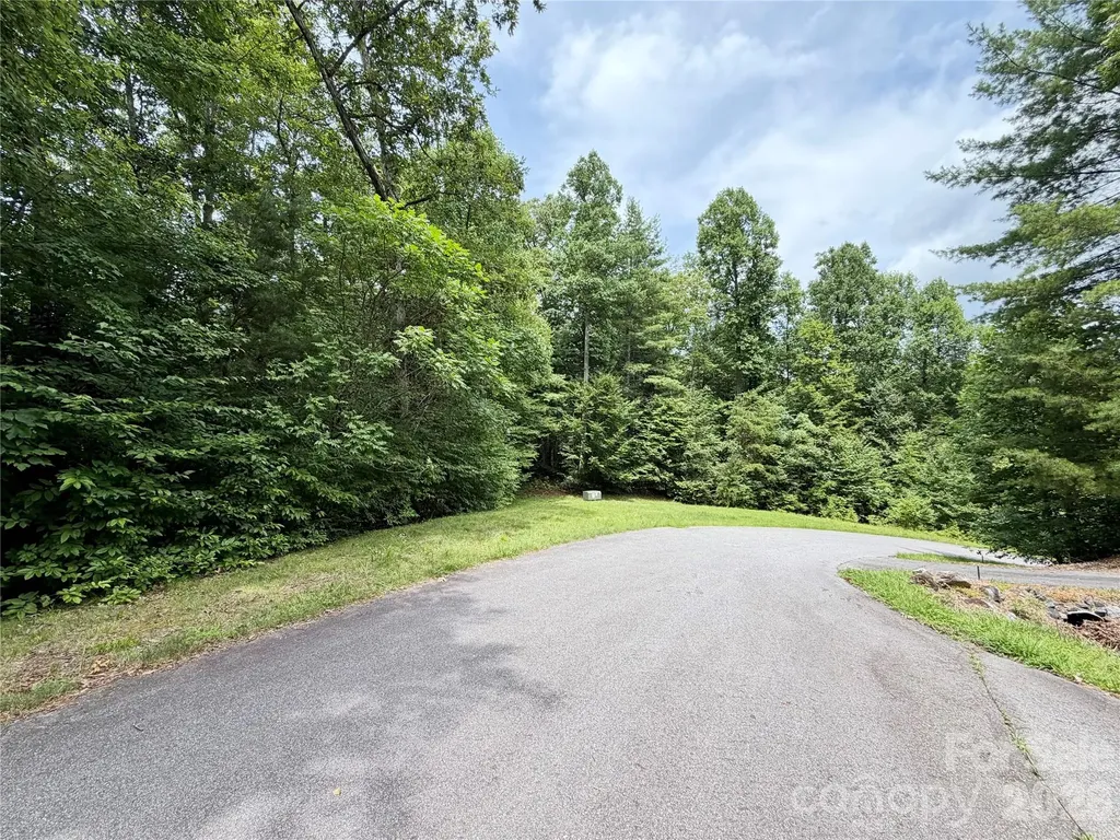 1156 Bear River Lodge Trail Marshall NC 28753