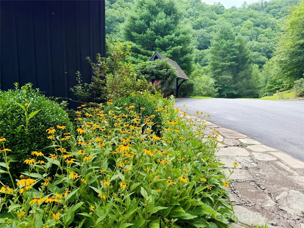 1156 Bear River Lodge Trail Marshall NC 28753