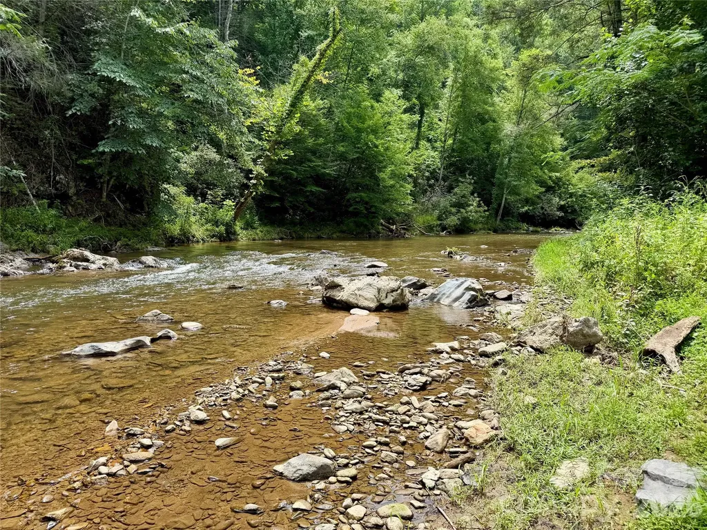 1156 Bear River Lodge Trail Marshall NC 28753