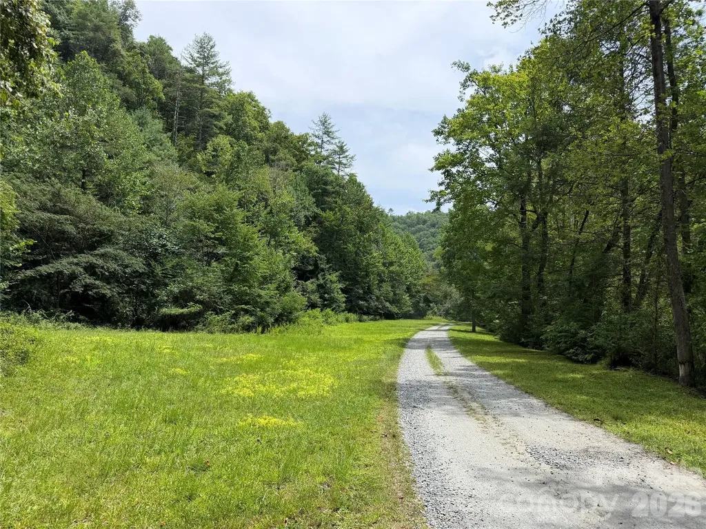 1156 Bear River Lodge Trail Marshall NC 28753