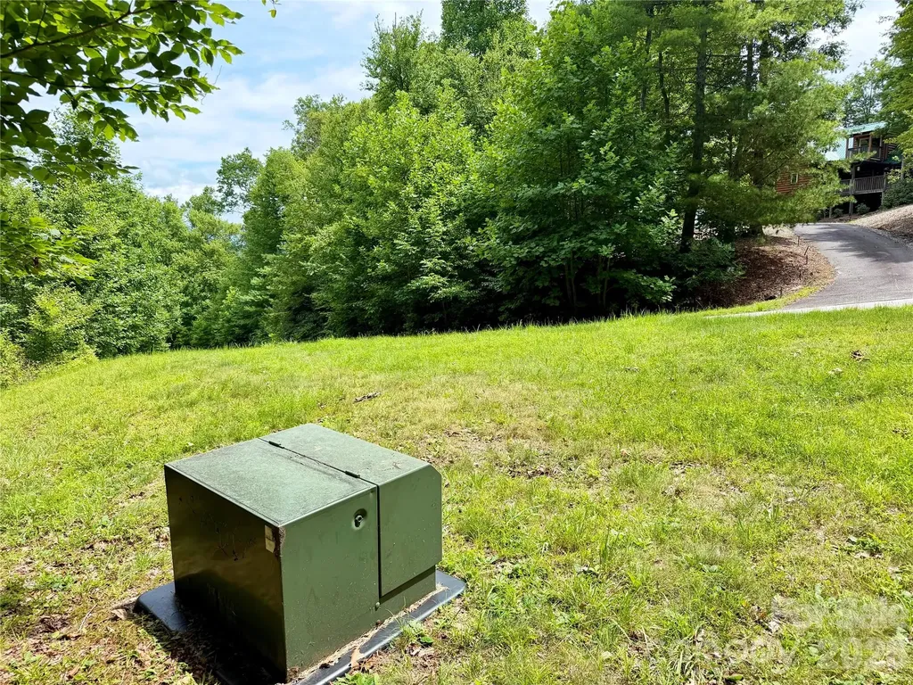 1156 Bear River Lodge Trail Marshall NC 28753