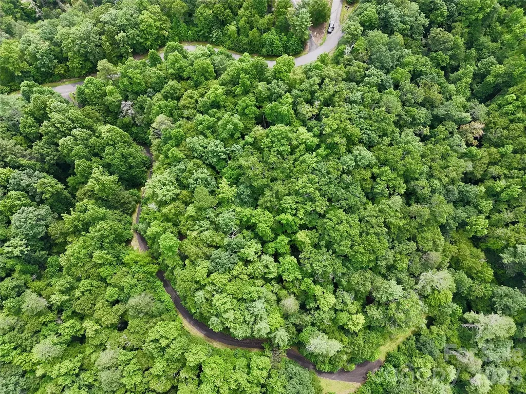 1156 Bear River Lodge Trail Marshall NC 28753
