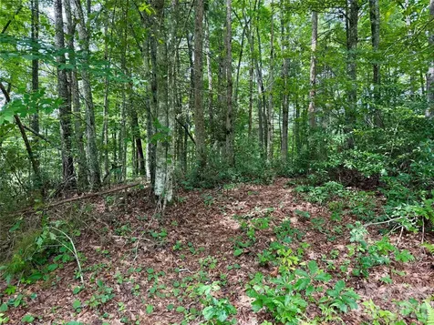 1156 Bear River Lodge Trail Marshall NC 28753