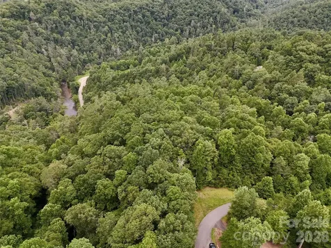 1156 Bear River Lodge Trail Marshall NC 28753