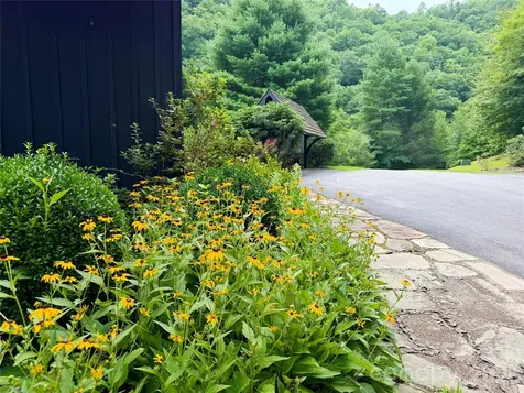 1156 Bear River Lodge Trail Marshall NC 28753
