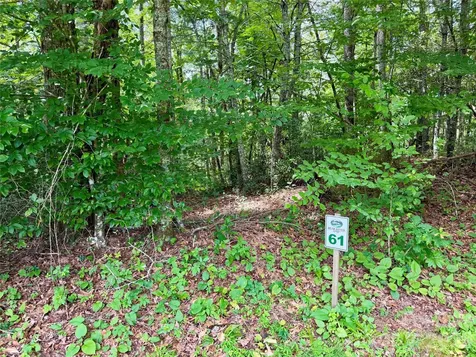 1156 Bear River Lodge Trail Marshall NC 28753