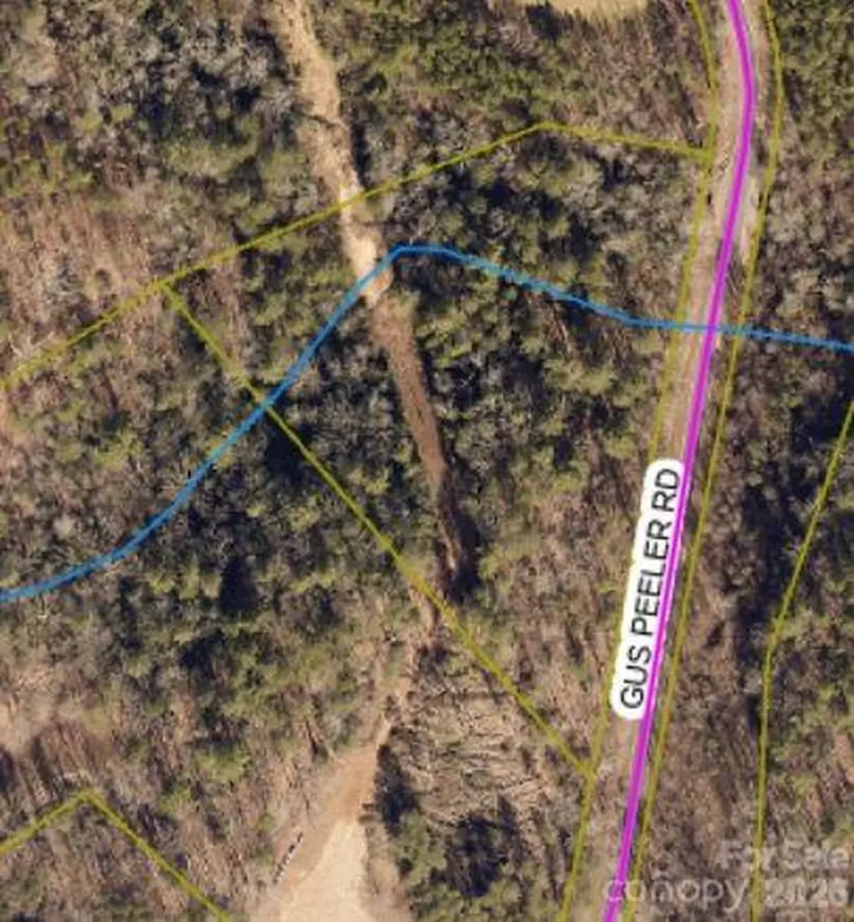 Tbd Gus Peeler Road Connelly Springs NC 28612