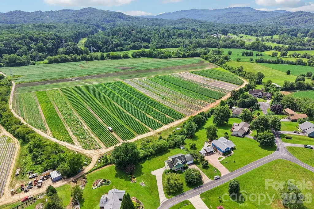 20 Amber Drive Horse Shoe NC 28742