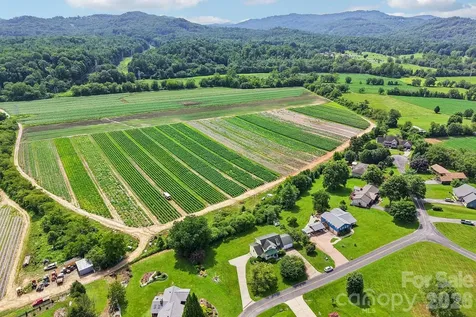 20 Amber Drive Horse Shoe NC 28742