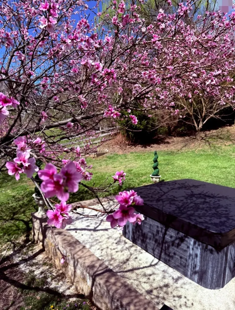 5 Northlake Drive Weaverville NC 28787