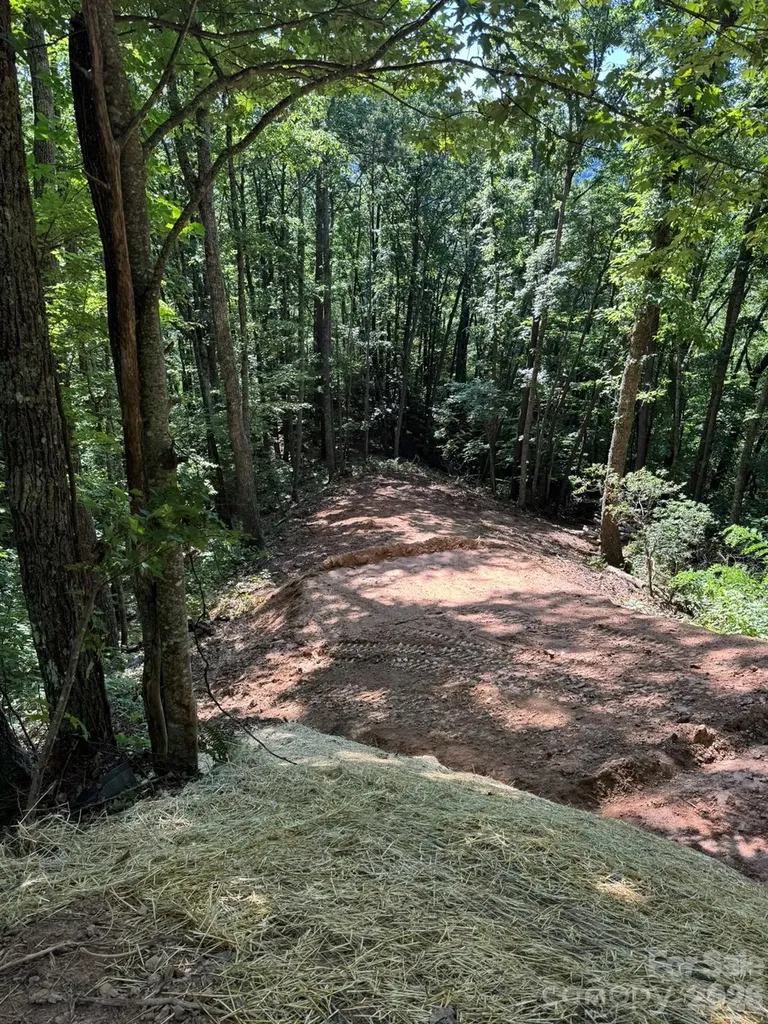 97 Hosta Drive Sylva NC 28779