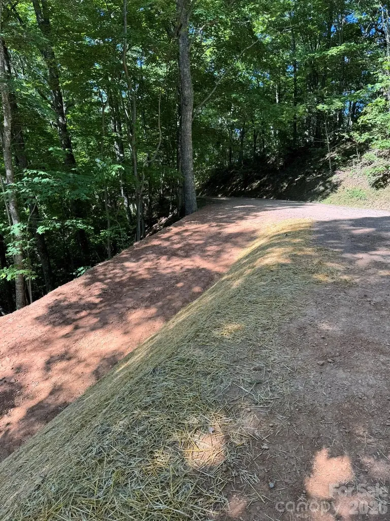 97 Hosta Drive Sylva NC 28779