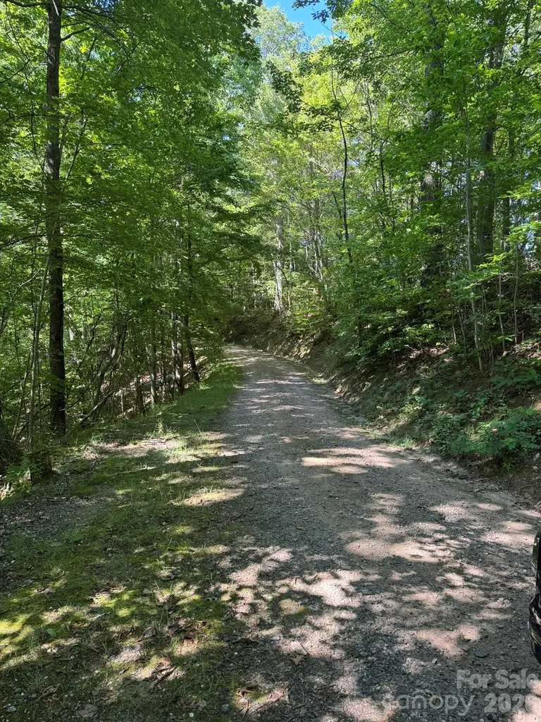 97 Hosta Drive Sylva NC 28779
