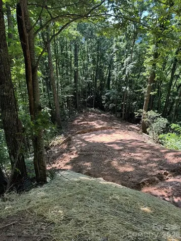 97 Hosta Drive Sylva NC 28779