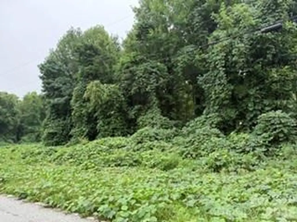 537 Kilgore Road Kings Mountain NC 28086