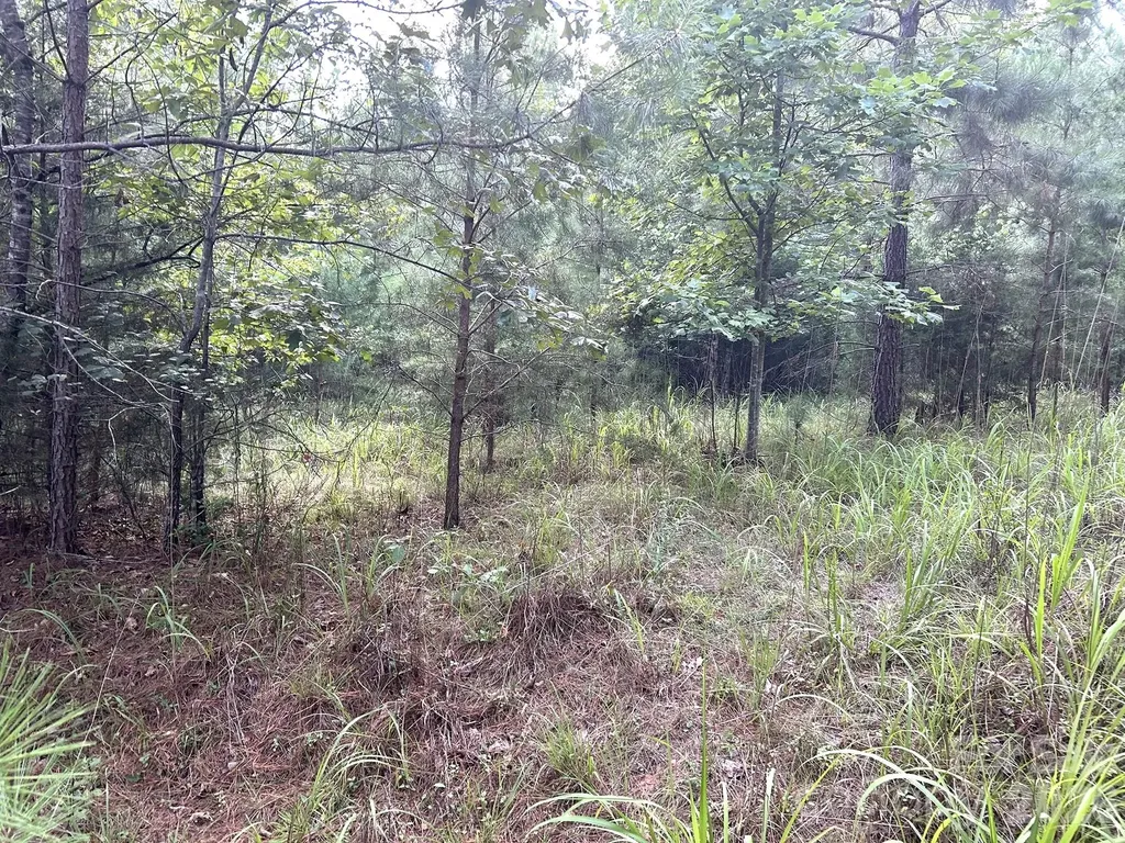 00 Cross Creek Drive Rutherfordton NC 28139