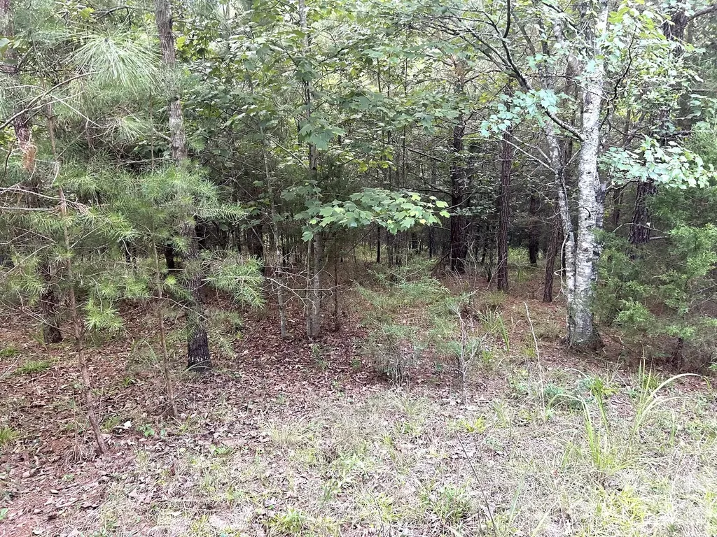 00 Cross Creek Drive Rutherfordton NC 28139