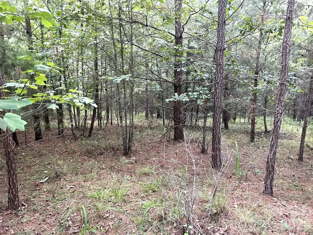 00 Cross Creek Drive Rutherfordton NC 28139