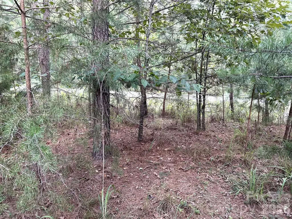 00 Cross Creek Drive Rutherfordton NC 28139