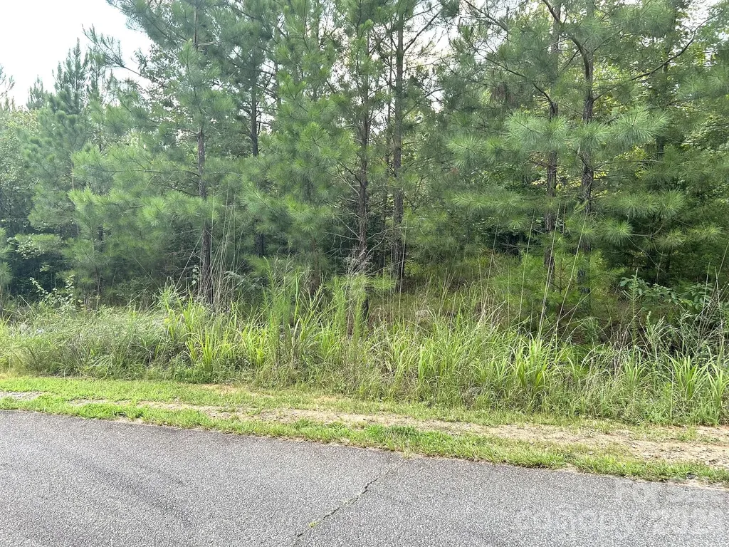 00 Cross Creek Drive Rutherfordton NC 28139