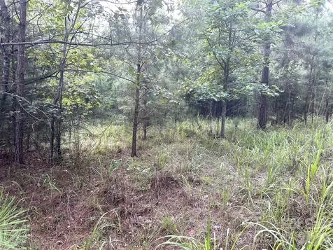 00 Cross Creek Drive Rutherfordton NC 28139