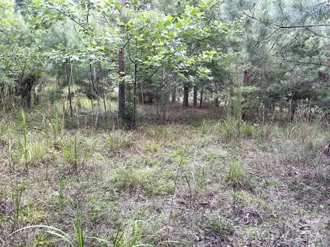 00 Cross Creek Drive Rutherfordton NC 28139