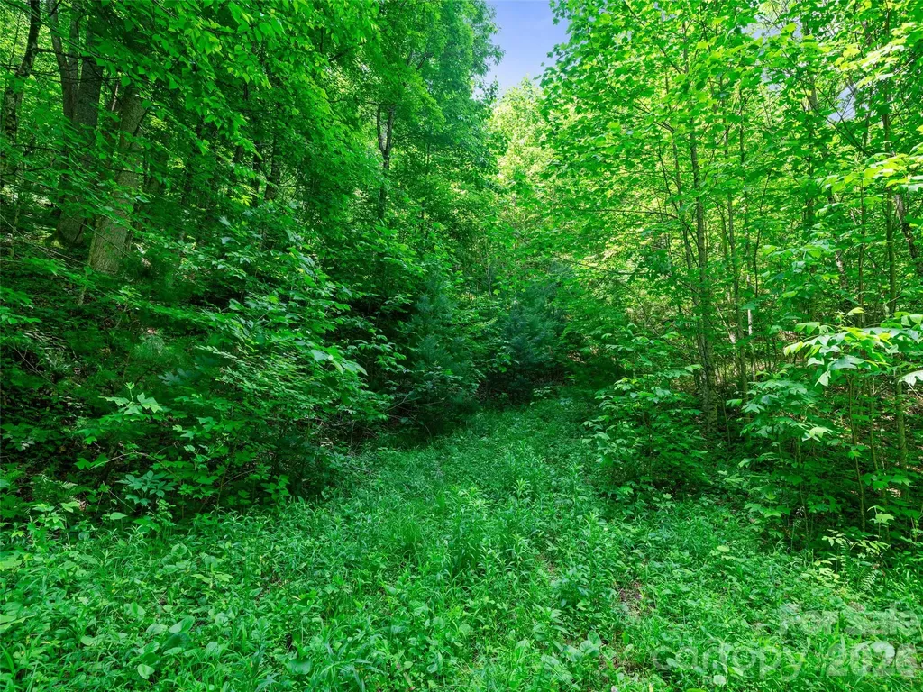 0 Lotties Creek Road Burnsville NC 28714