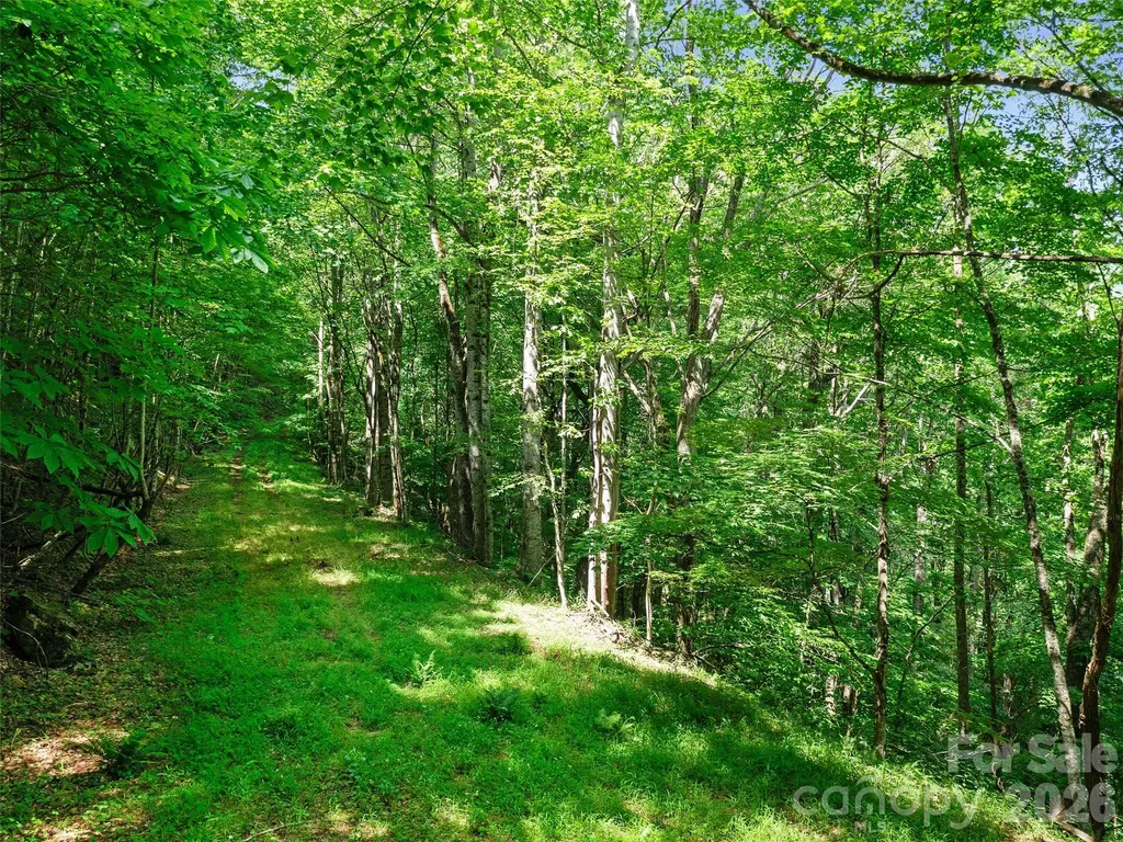 0 Lotties Creek Road Burnsville NC 28714