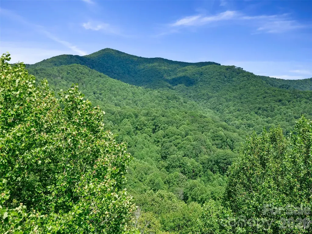 0 Lotties Creek Road Burnsville NC 28714