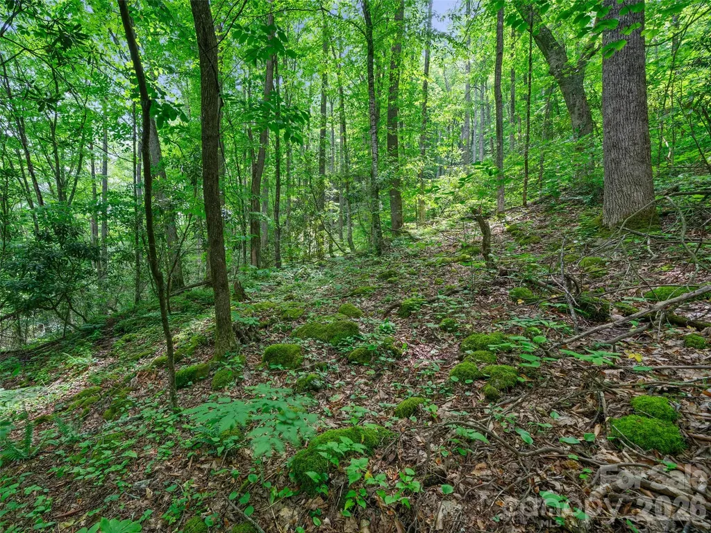 0 Lotties Creek Road Burnsville NC 28714