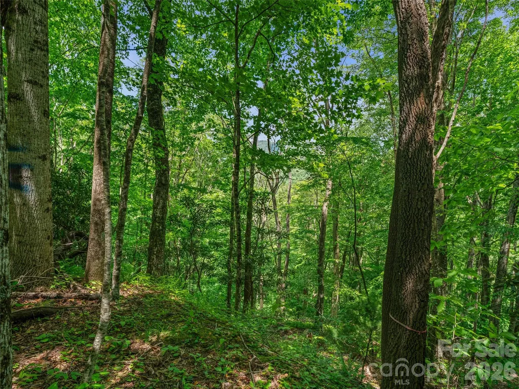 0 Lotties Creek Road Burnsville NC 28714