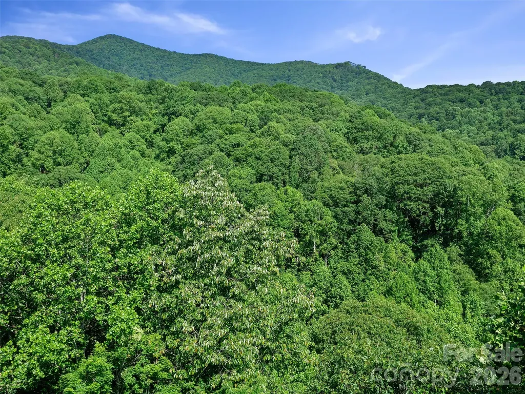0 Lotties Creek Road Burnsville NC 28714